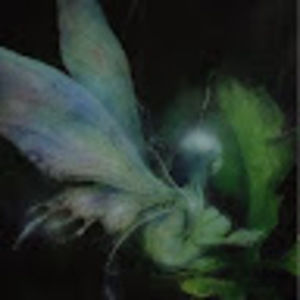 Meet your Posher, Phabiann